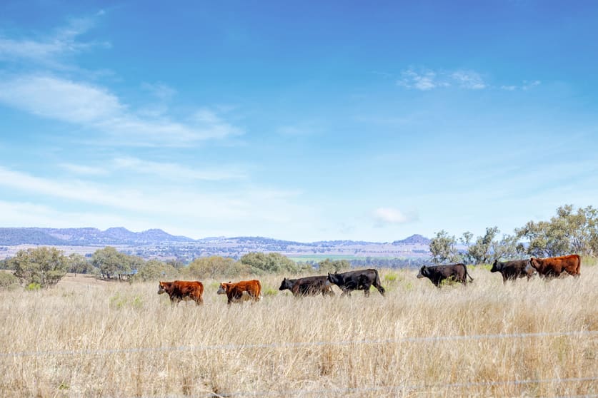 Click to view all images 22 Nara-Boah Waterhole Road Goombungee QLD 4354 - Image 3
