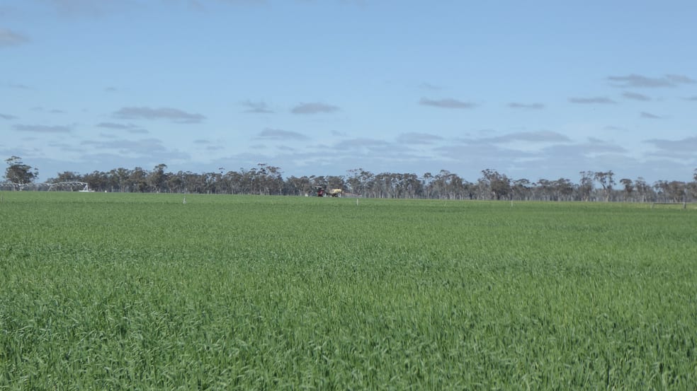 Click to view all images 139 Packer Road Bordertown South SA 5268 - Image 2