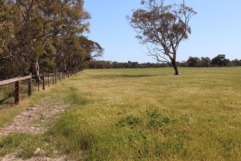 Click to view all images Allotment 33 Emu Springs Road Tintinara SA 5266 - Image 2