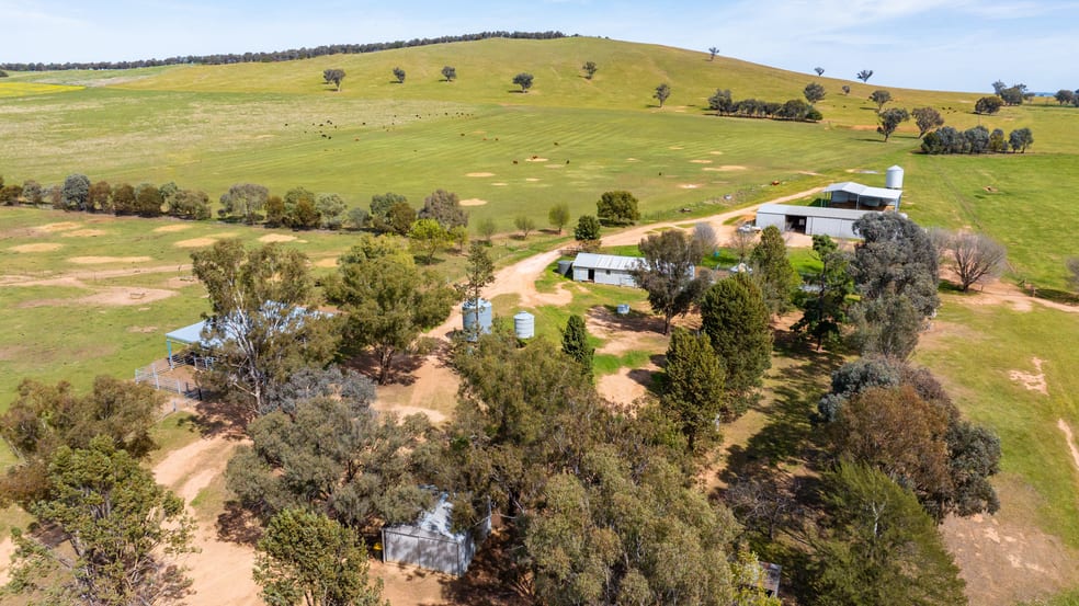 Click to view all images 3393 Urana Road Burrumbuttock NSW 2642 - Image 1