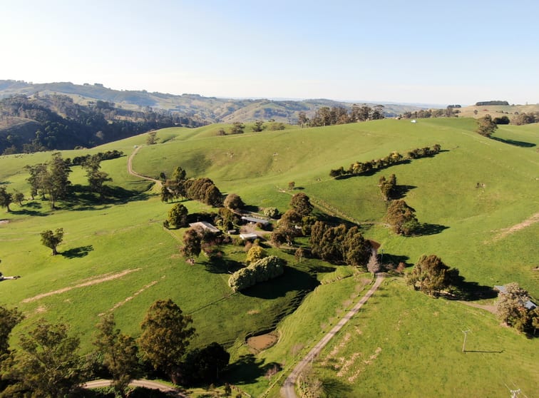Click to view all images 226 Wild Dog Road Strzelecki via Korumburra VIC 3950 - Image 3