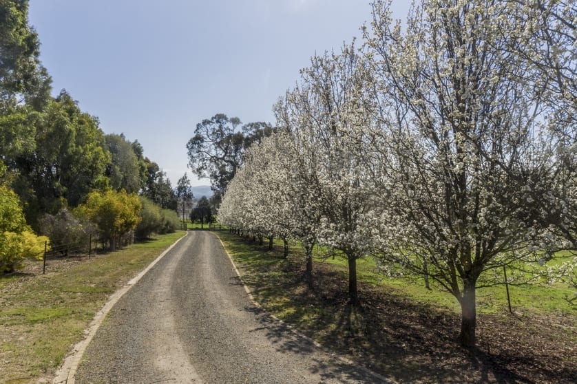 Click to view all images 91 Merinda Way Mansfield VIC 3722 - Image 2
