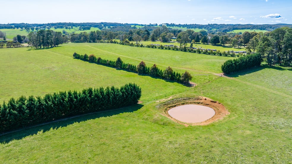 Click to view all images 1729 Tumbarumba Road Rosewood NSW 2652 - Image 1