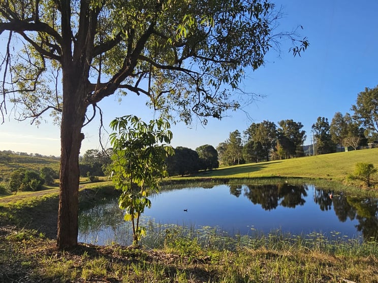 Click to view all images 90 Christies Road Federal QLD 4568 - Image 2