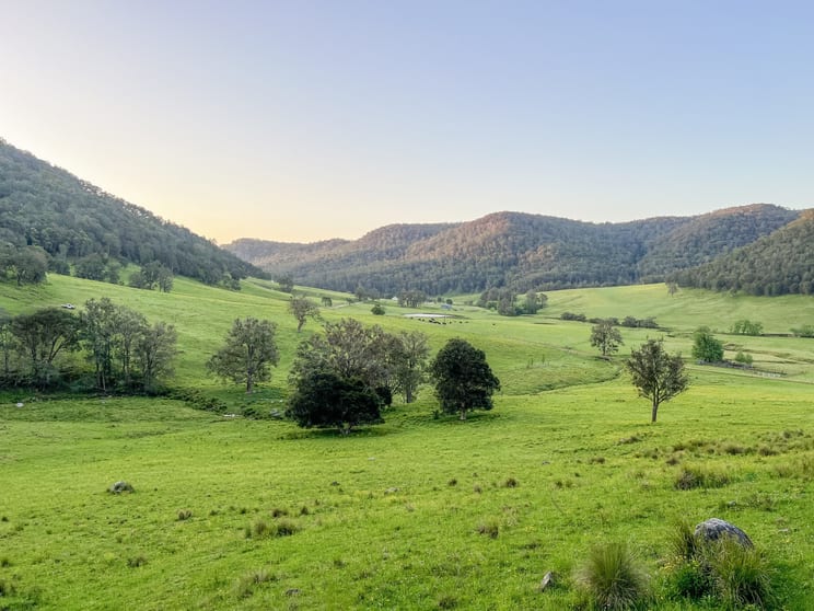 Click to view all images Lot 2 Watagan Creek Road Laguna NSW 2325 - Image 1