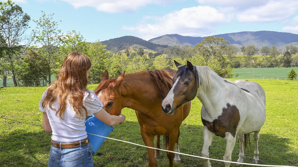 Click to view all images 1152 Barrington West Road Gloucester NSW 2422 - Image 2