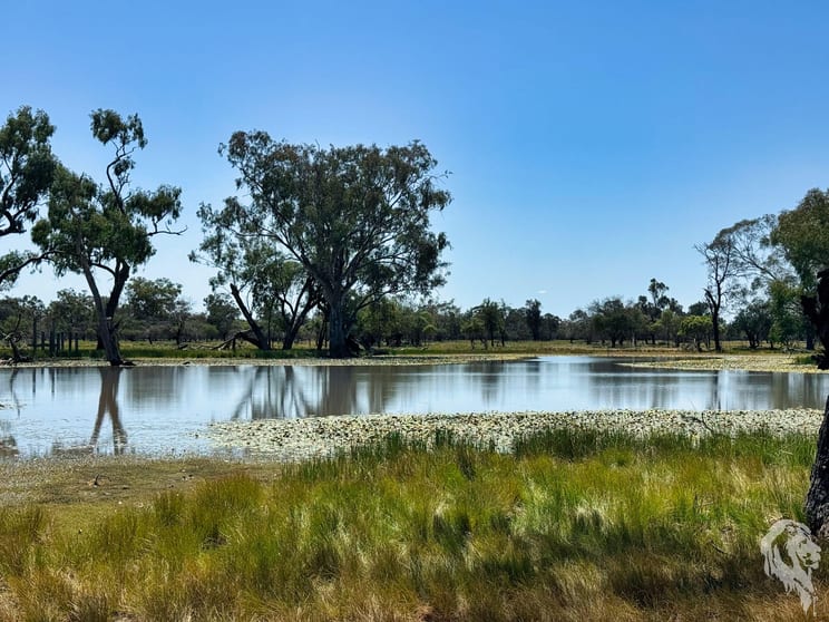 Click to view all images 1503 Werah Creek Road Wee Waa NSW 2388 - Image 3
