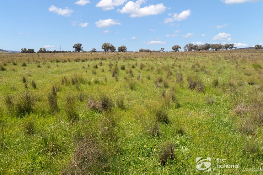 Click to view all images 569 Wongoni Road Dunedoo NSW 2844 - Image 3