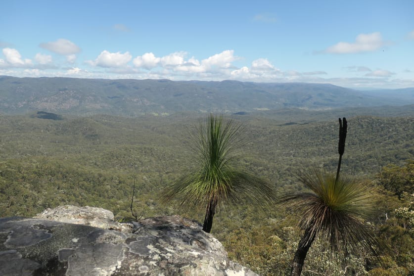 Click to view all images 29/ Rocky River Road Rocky River NSW 2372 - Image 2