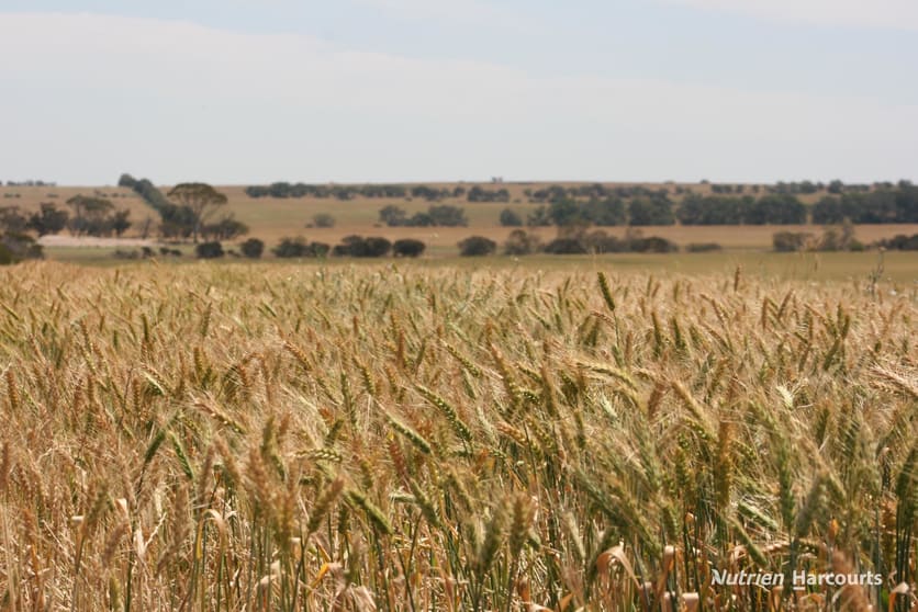 Click to view all images . Cnr Nembudding South Road & Hammond Road Korrelocking WA 6485 - Image 2