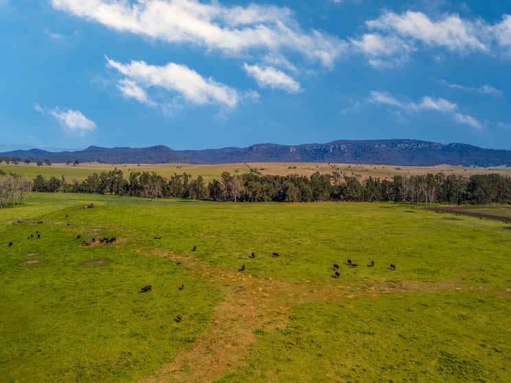 Click to view all images 931 Martindale Road Denman NSW 2328 - Image 2