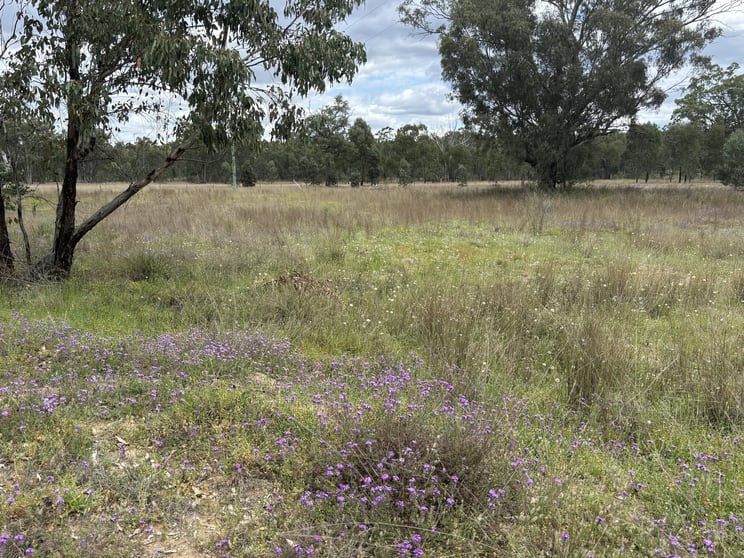 Click to view all images 93 Fairford Road Warialda NSW 2402 - Image 1