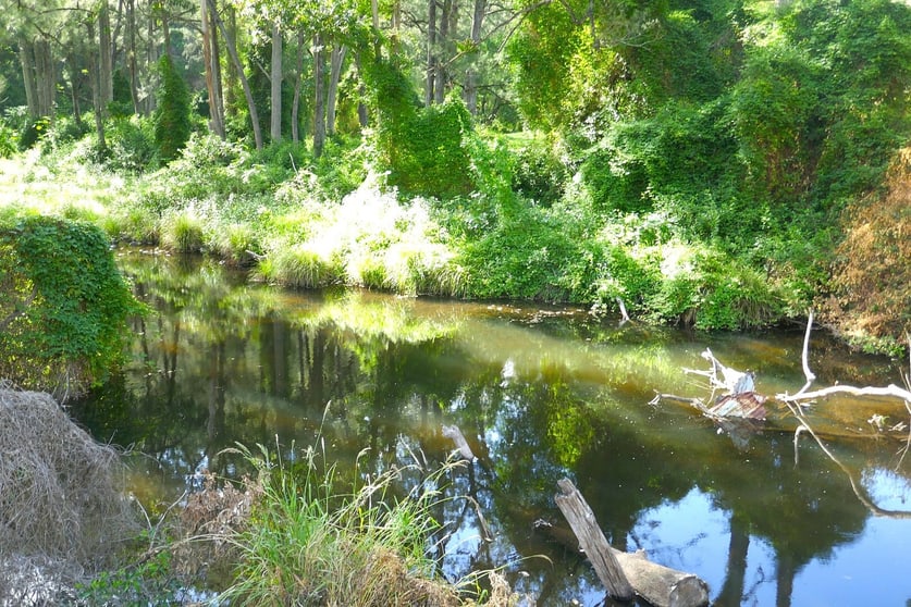 Click to view all images Lot 14 Tree Fern Road - Loadstone Kyogle NSW 2474 - Image 3