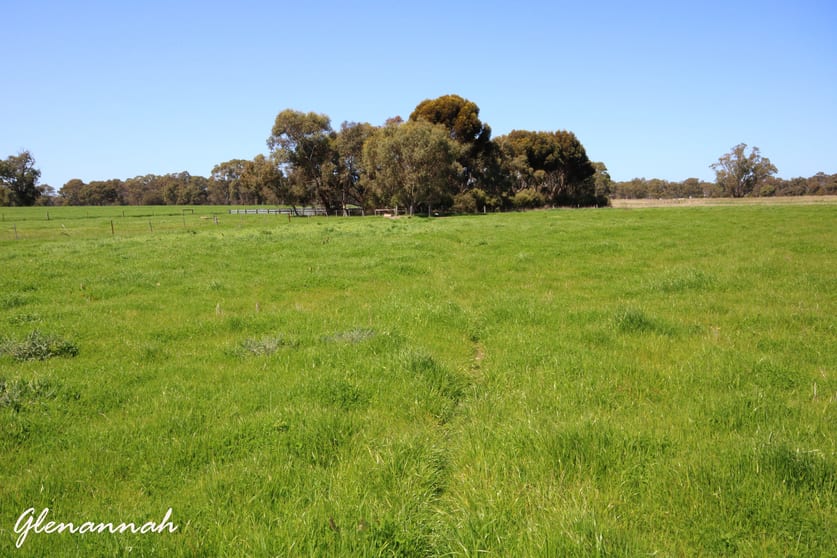 Naracoorte SA 5271 - Image 3