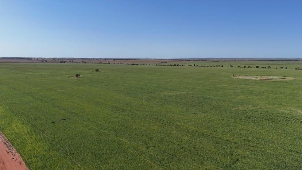 Click to view all images 12056 Mullewa-Wubin Road Perenjori WA 6620 - Image 3