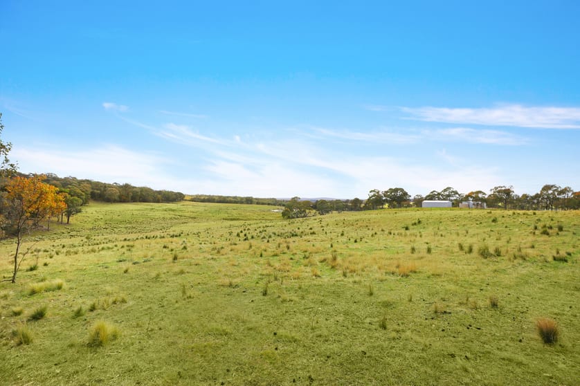 Click to view all images Lot 175 Windellama Road Goulburn NSW 2580 - Image 2