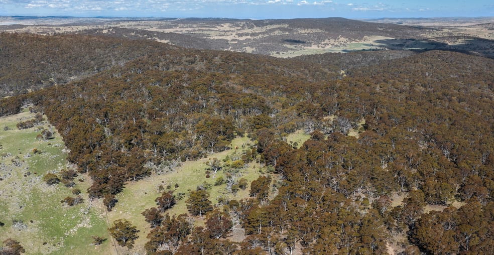 Click to view all images 136/DP 756691 Wainui Road Eucumbene NSW 2628 - Image 3