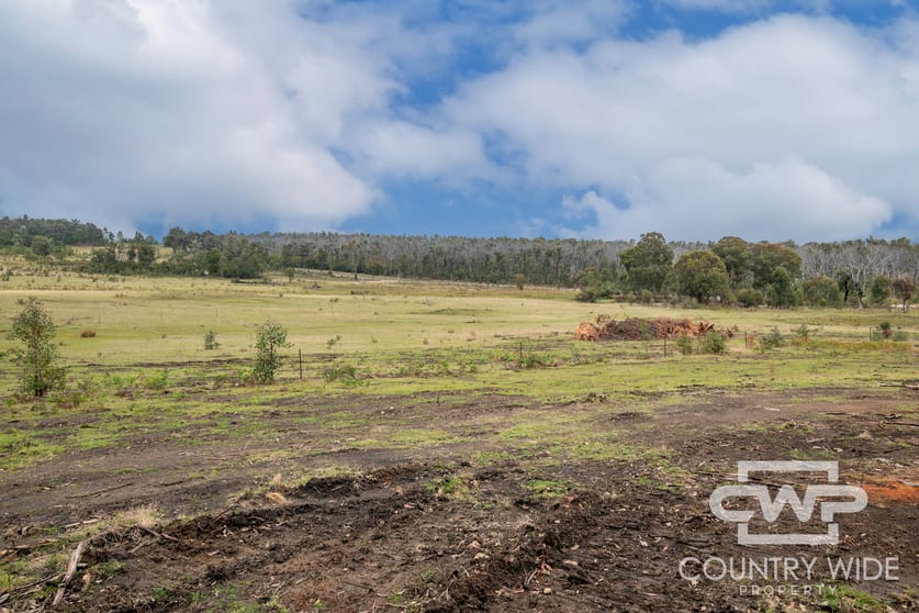 Click to view all images 92, 470 Silent Grove Road Torrington NSW 2371 - Image 3