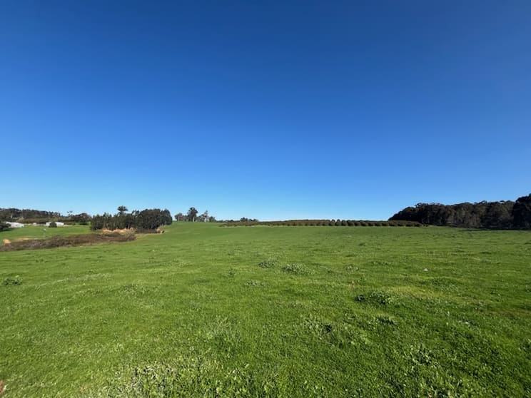 Lot 500 Pipe Clay Gully Road Manjimup WA 6258 - Image 1