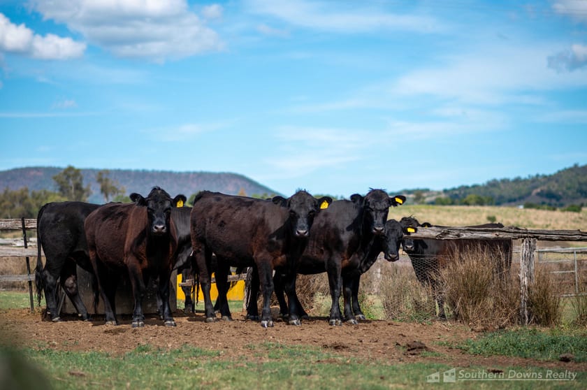 Click to view all images 130 Tannymorel - Mt Colliery Road Tannymorel QLD 4372 - Image 2