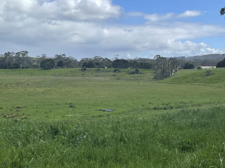 Click to view all images 3554 Lavers Hill - Cobden Road Kennedys Creek VIC 3239 - Image 1