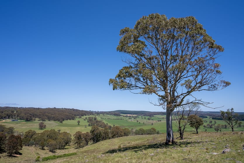Click to view all images 72 Millers Lane Chatham Valley NSW 2787 - Image 2