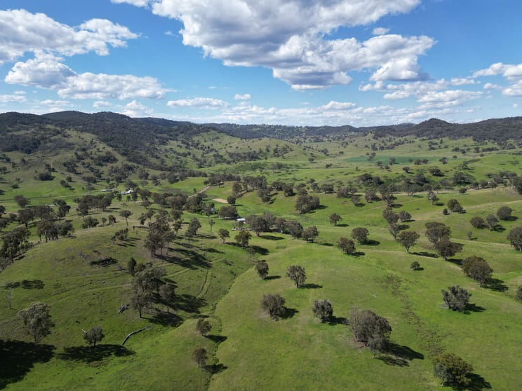 Click to view all images 5192 Halls Creek Road Halls Creek NSW 2346 - Image 1