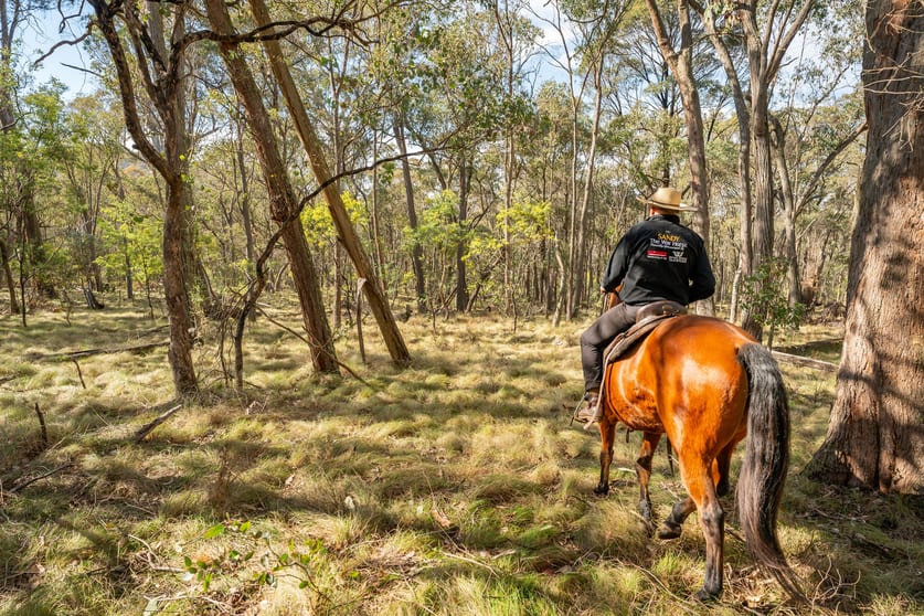 . Firebrace Track Bullioh VIC 3700 - Image 1