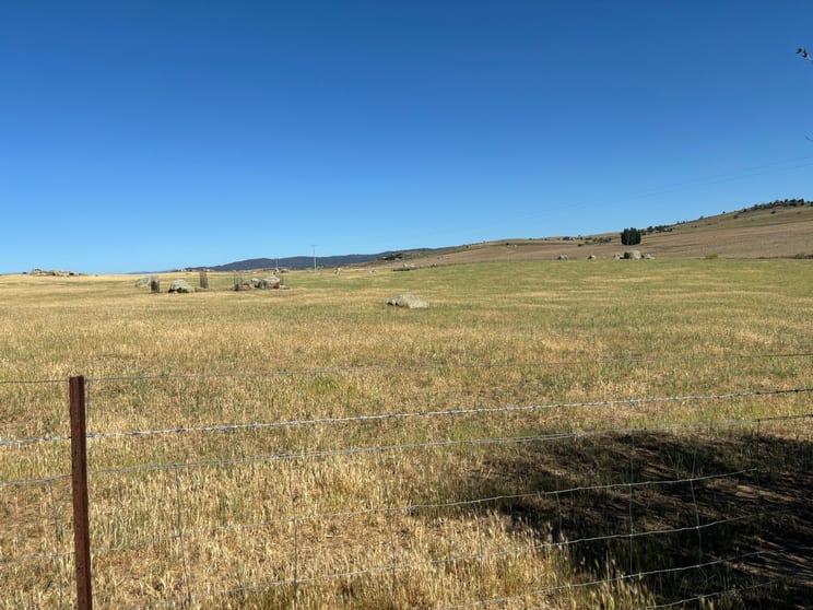 441 Bulgundara Road Dalgety NSW 2628 - Image 3