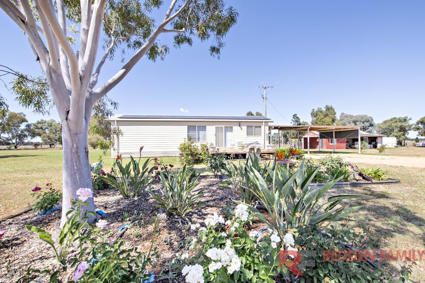 Click to view all images 211L Mogriguy Road Eumungerie NSW 2822 - Image 1