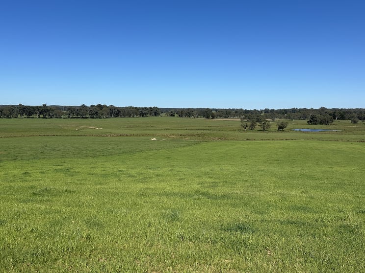 Click to view all images 0 Rosewood Hill Road Tumbarumba NSW 2653 - Image 2