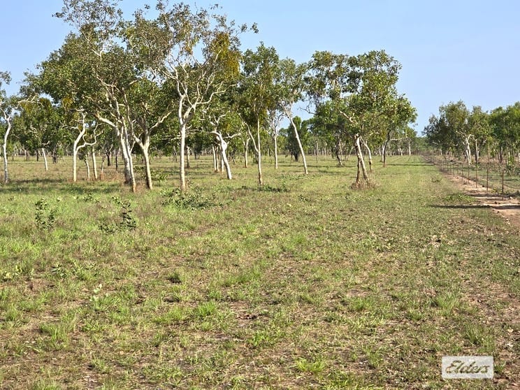 Click to view all images 205 Dorat Road Adelaide River NT 0846 - Image 2