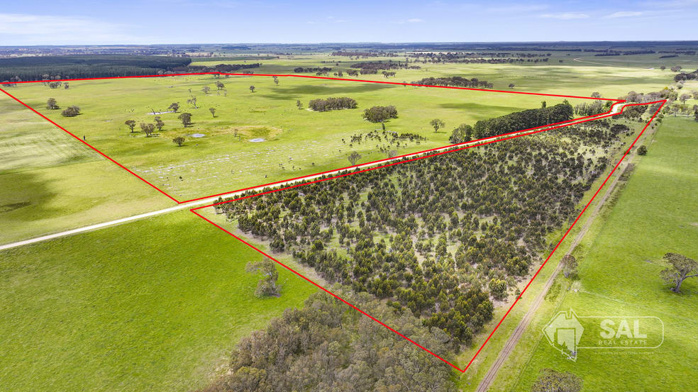 Click to view all images Lot/175 Wood Road Wepar SA 5278 - Image 1
