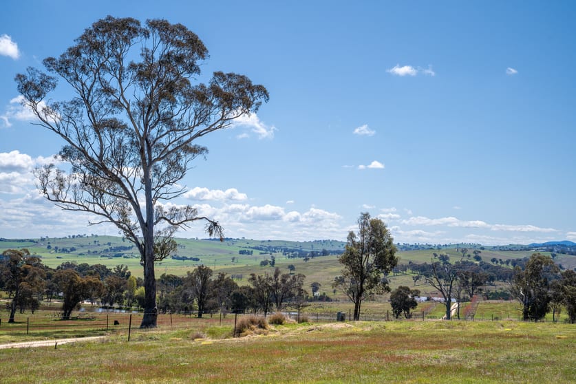 Click to view all images 1703 Mutton Falls Road O'connell NSW 2795 - Image 1