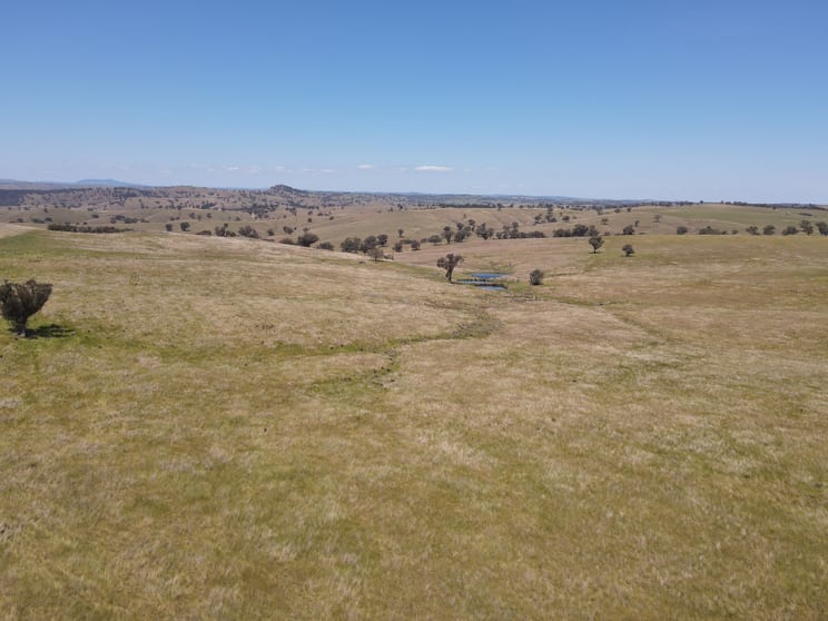 Click to view all images 250 Emu Creek Road Canowindra NSW 2804 - Image 3