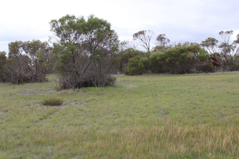 Click to view all images 61 Blue Vista Hopetoun WA 6348 - Image 2