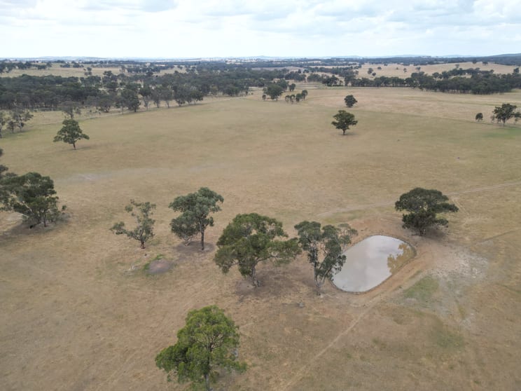 Click to view all images 9366 Durham Road Cornishtown VIC 3683 - Image 3