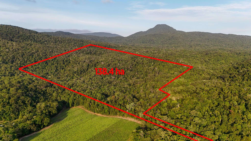1060 Pine Creek Yarrabah Road East Trinity QLD 4871 - Image 2