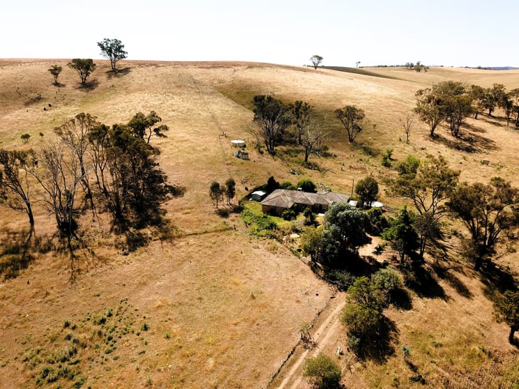 Click to view all images 183 Rodeo Drive Cootamundra NSW 2590 - Image 1