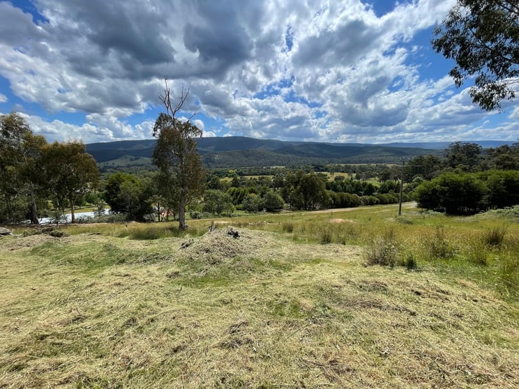 Click to view all images Buxton VIC 3711 - Image 1