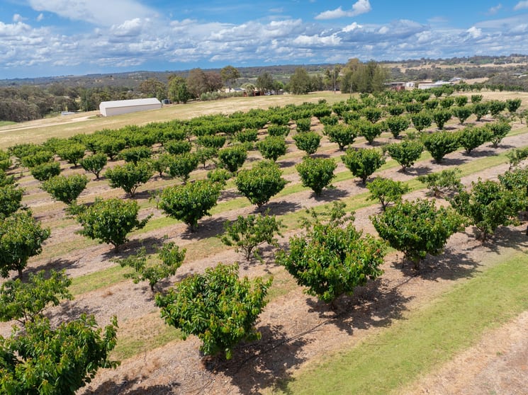 Click to view all images 1146 Kingsvale Road Young NSW 2594 - Image 3