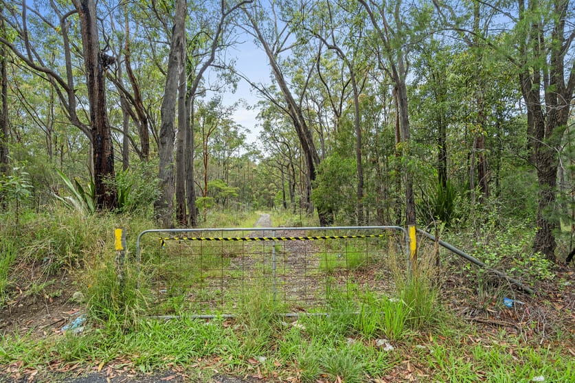 Click to view all images 56 Redgum Close Freemans Waterhole NSW 2323 - Image 2