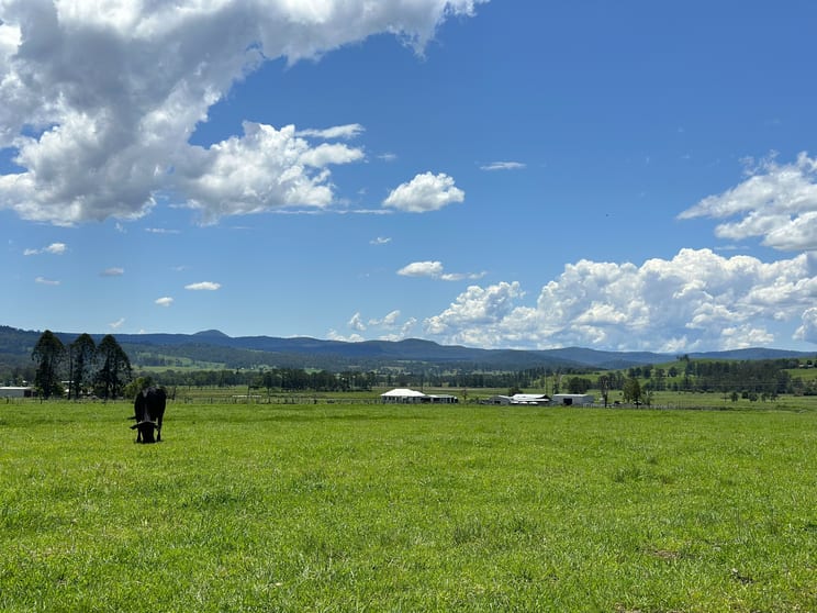 Click to view all images 119 Duck Creek Road Old Bonalbo NSW 2469 - Image 2