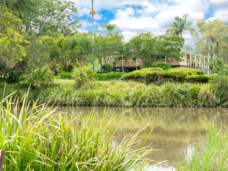 Click to view all images 98 Tuntable Creek Road The Channon NSW 2480 - Image 1