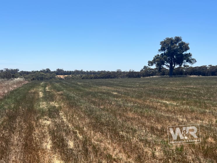 Click to view all images Lot 224 Albany Highway Mount Barker WA 6324 - Image 3
