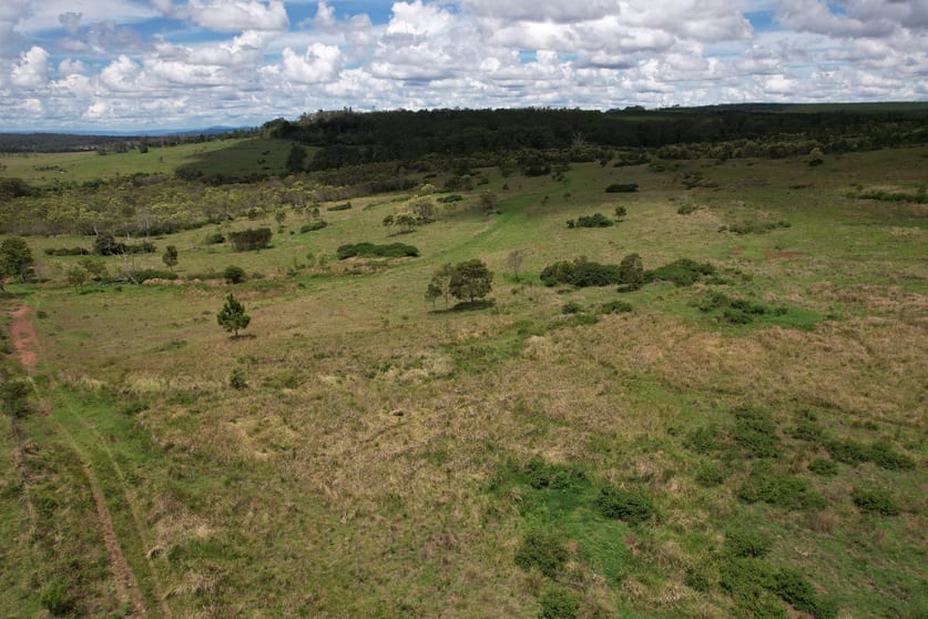 Click to view all images Pechey QLD 4352 - Image 3
