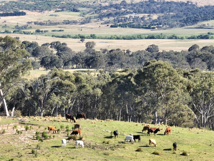 Click to view all images 1886 Gurrundah Road Goulburn NSW 2580 - Image 3
