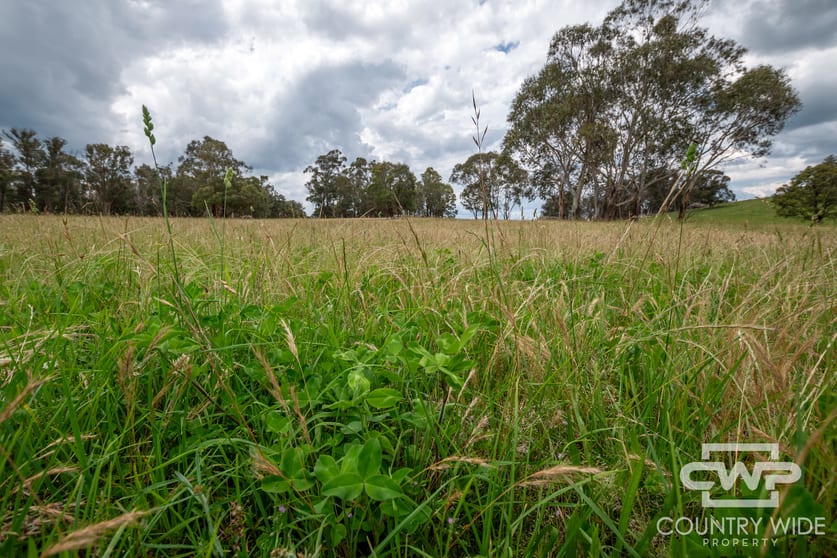Click to view all images 1, - Watsons Road Pinkett NSW 2370 - Image 1