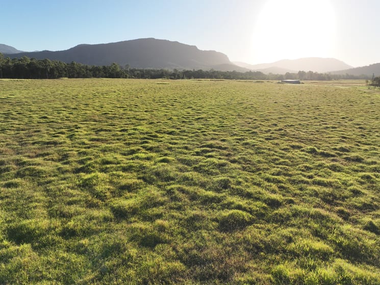 Click to view all images Porters Road Bloomsbury QLD 4799 - Image 1