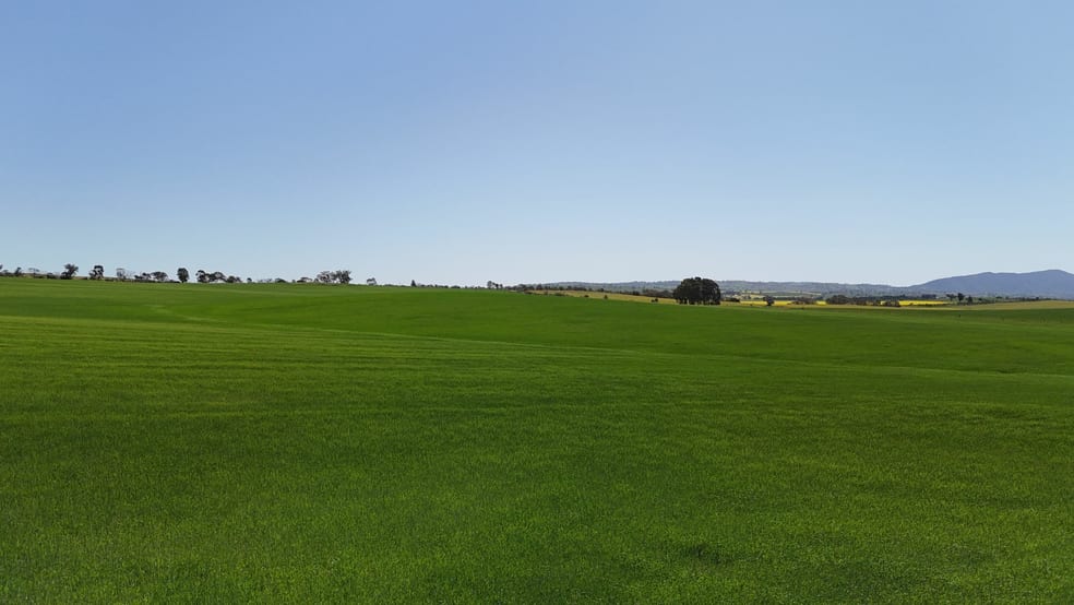Click to view all images 'Ryans' Archie Road Murray Town SA 5481 - Image 1